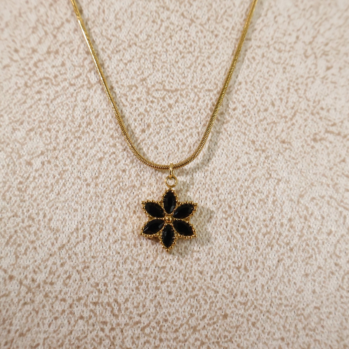 Midnight Daisy